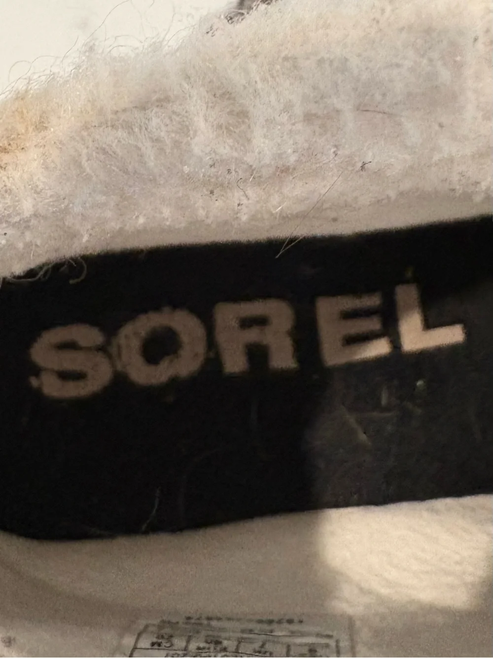 Sorel super cute